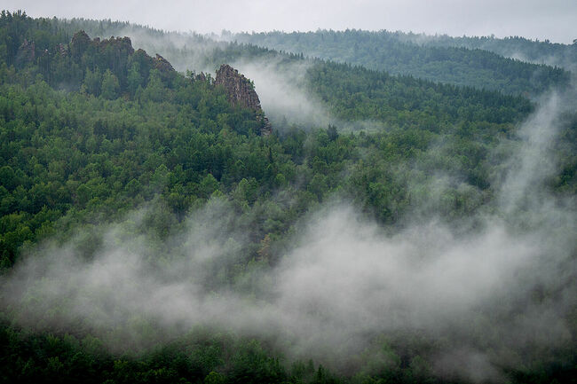 FOTO_PANIOTOV