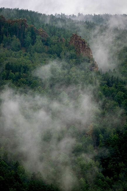 FOTO_PANIOTOV