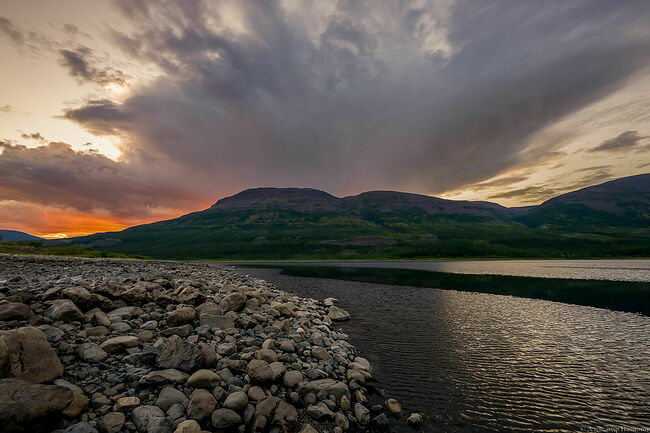 FOTO_PANIOTOV