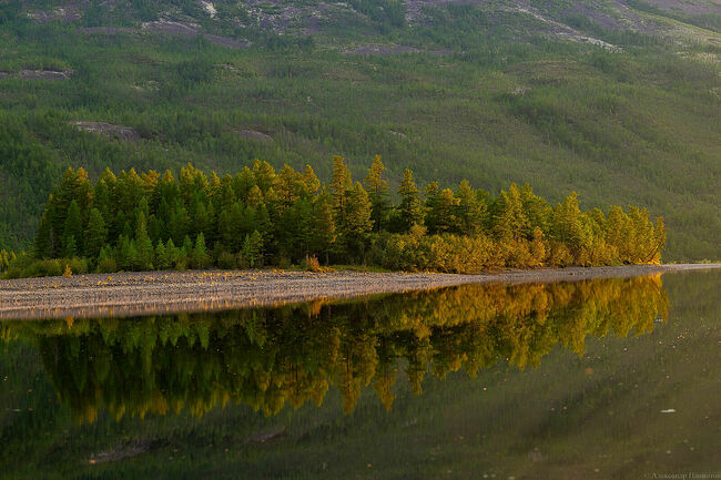 FOTO_PANIOTOV