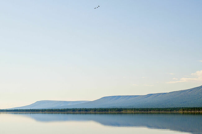 FOTO_PANIOTOV