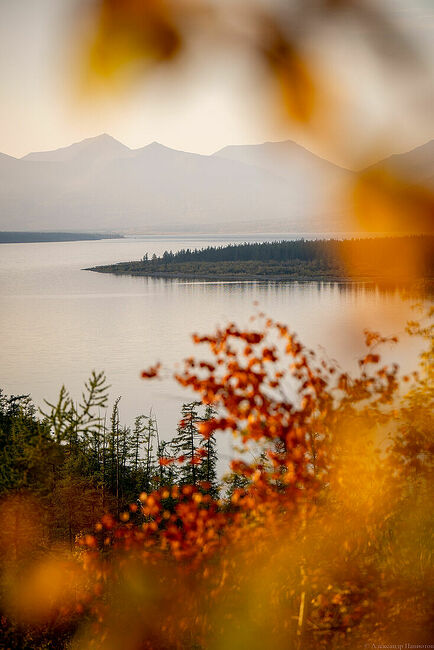 FOTO_PANIOTOV