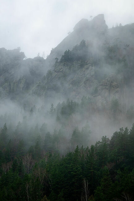 FOTO_PANIOTOV